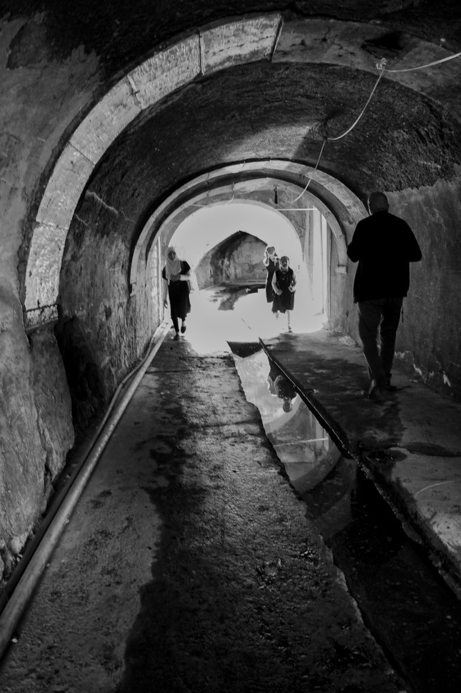 Photograph by mohamad jalili