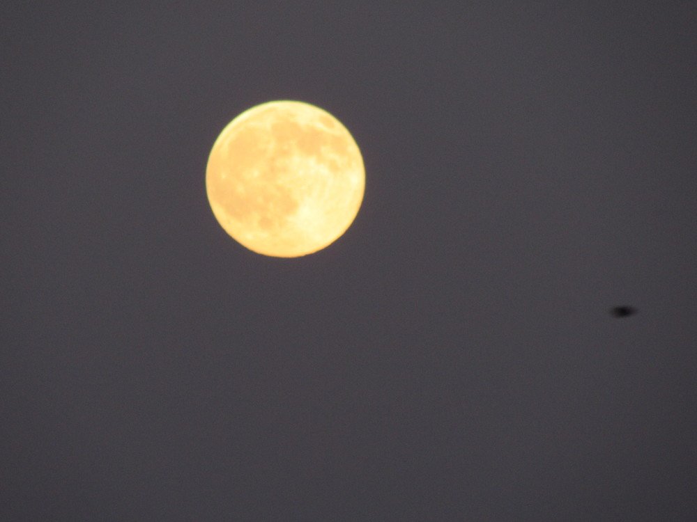 Photograph by Елена Кузнецова