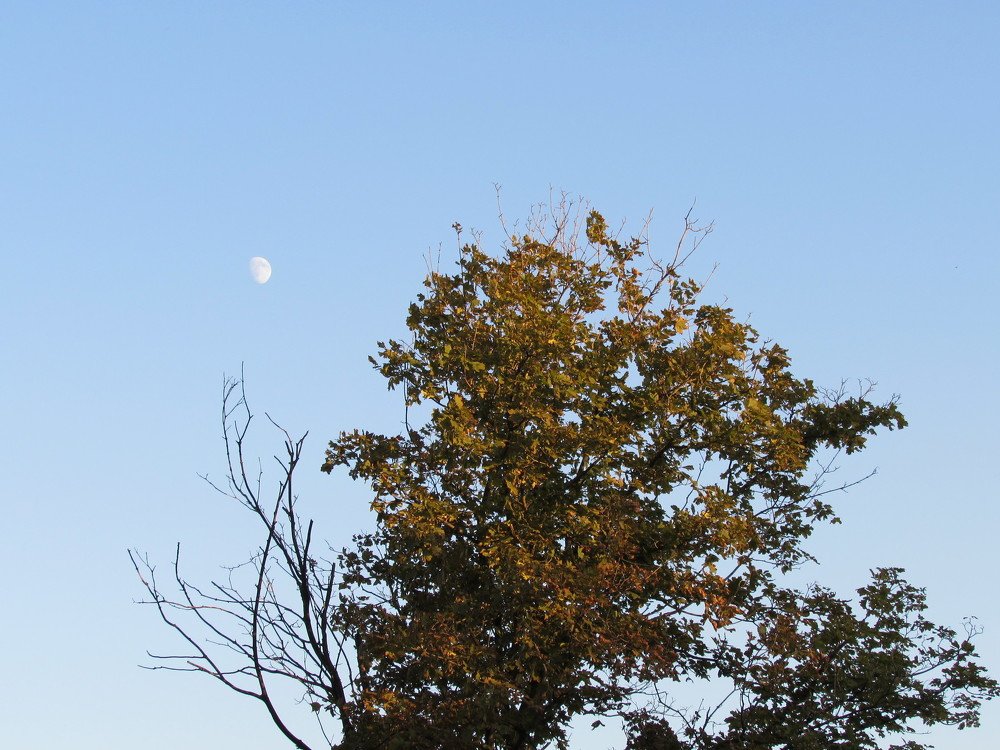 Photograph by Елена Кузнецова