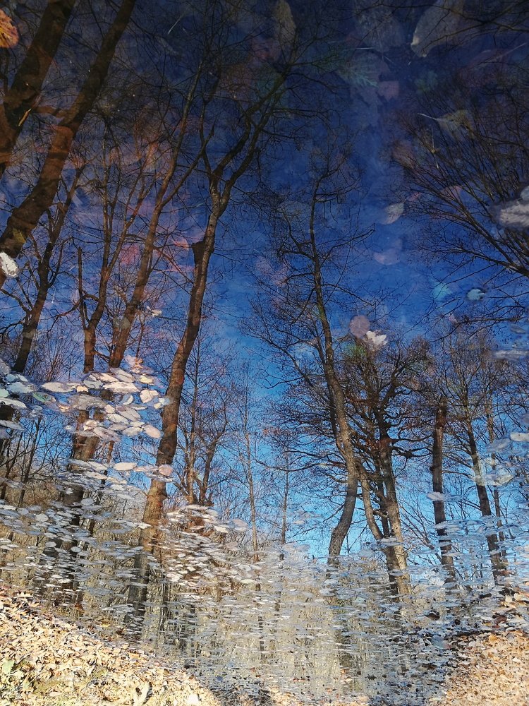 Photograph by Наталия