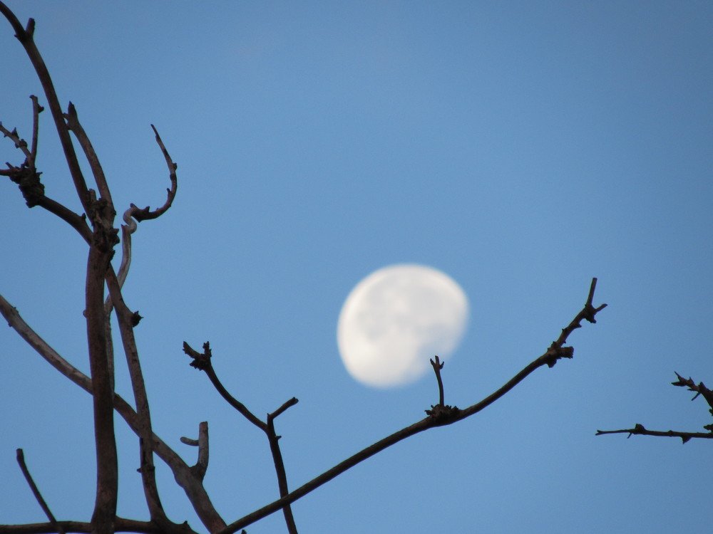 Photograph by Елена Кузнецова