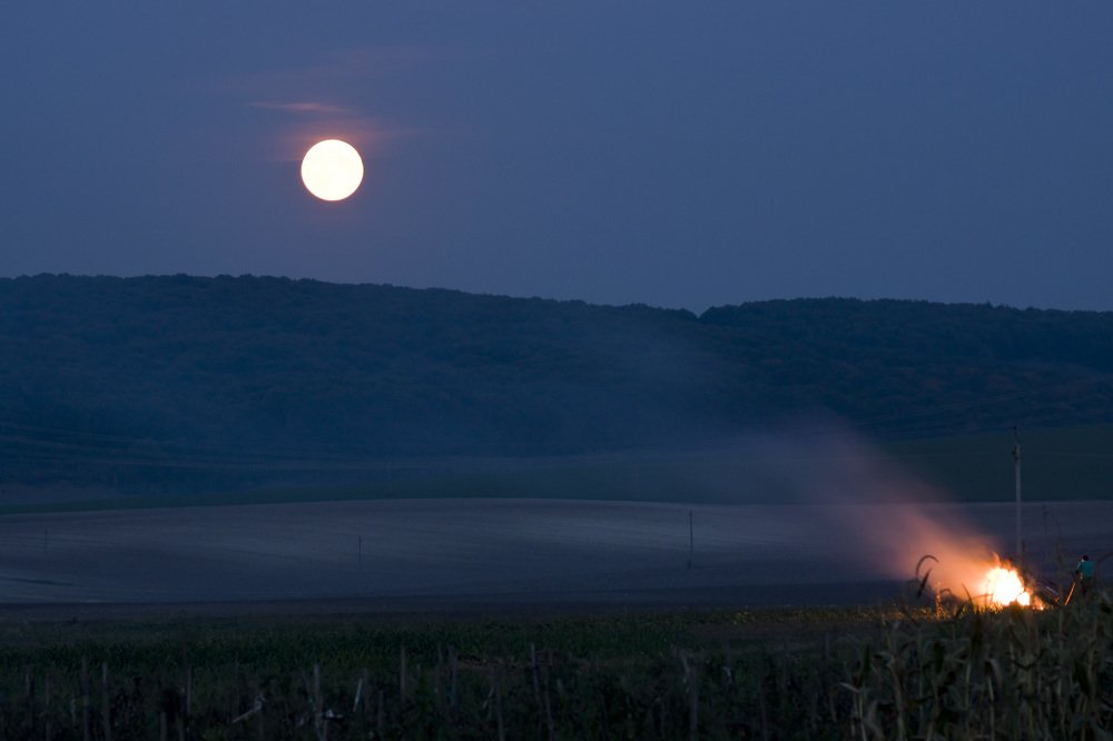 Photograph by Олесь