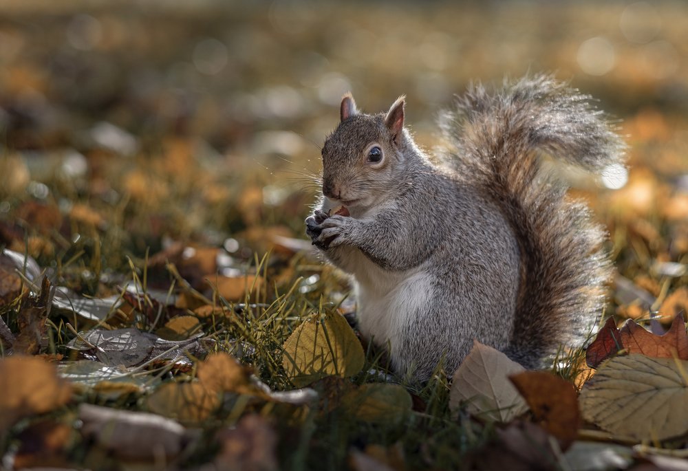 Photograph by Андрей Медведев