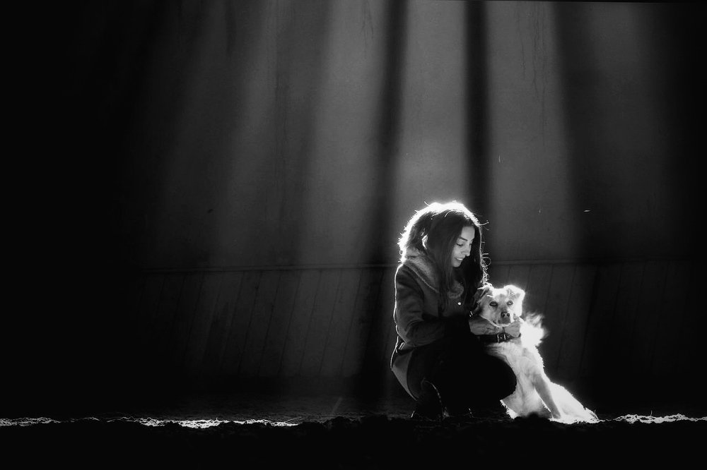 Photograph by Abbas Mohamadi