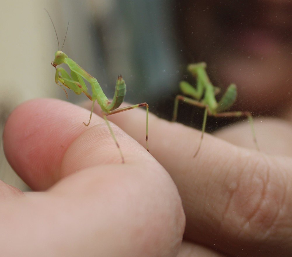 Photograph by Николай Немчанинов