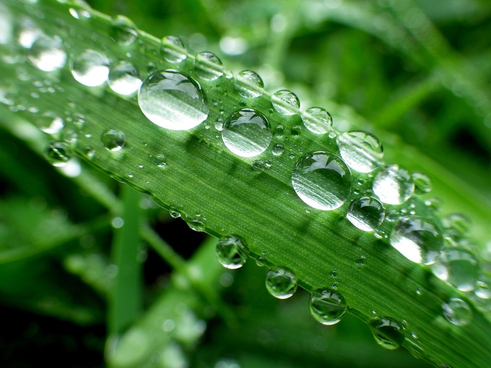 Бриллианты природы...