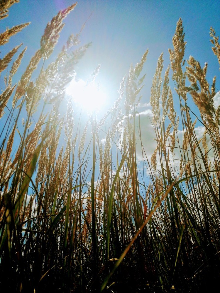 Photograph by Михаил Бородкин