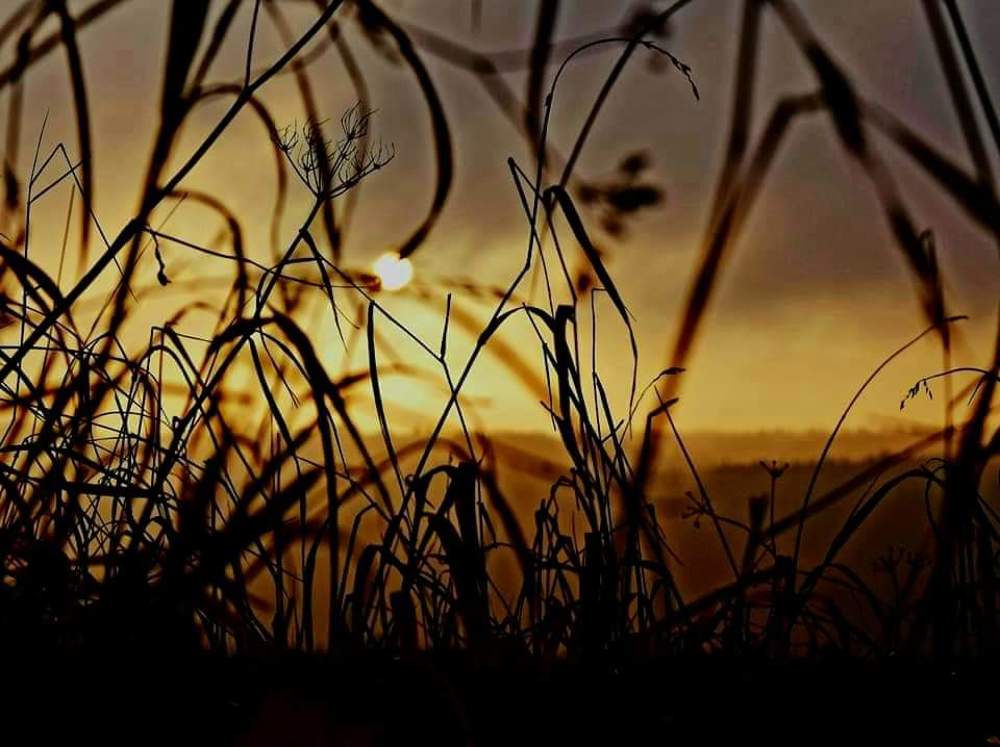 Photograph by Menaahyl Seraj