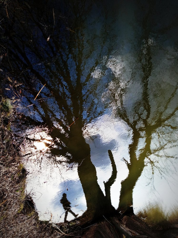 Photograph by Евгений