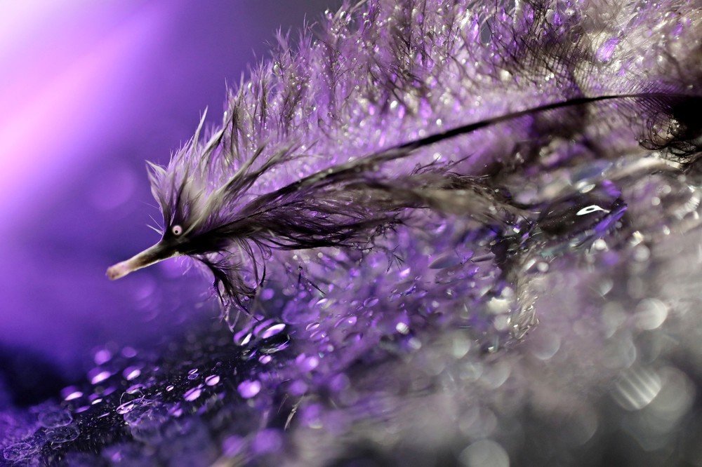 Кто-то или нЕкто