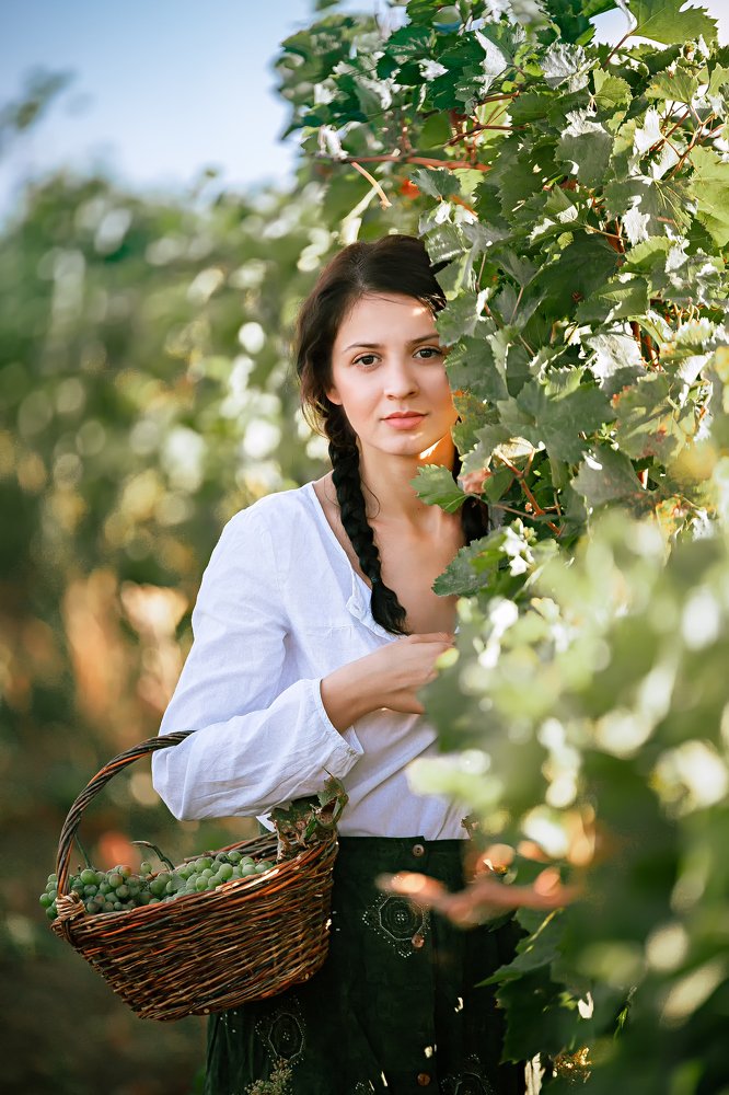 Photograph by iulian rotaru