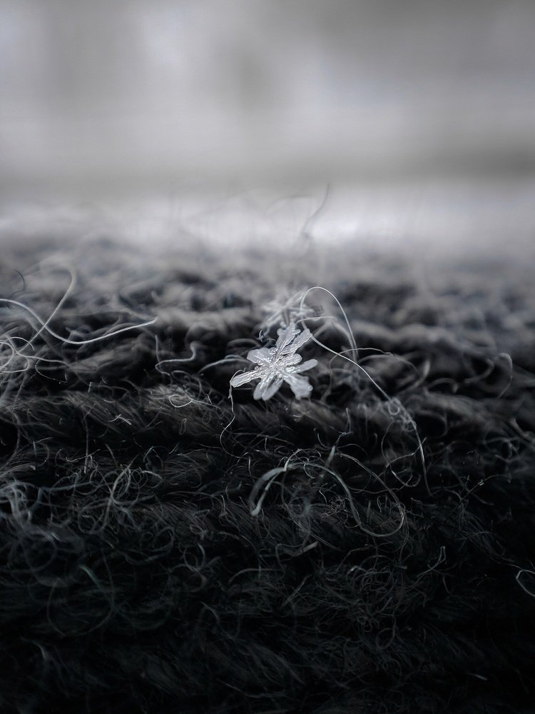 Photograph by Алексей и Юлия Дарьины