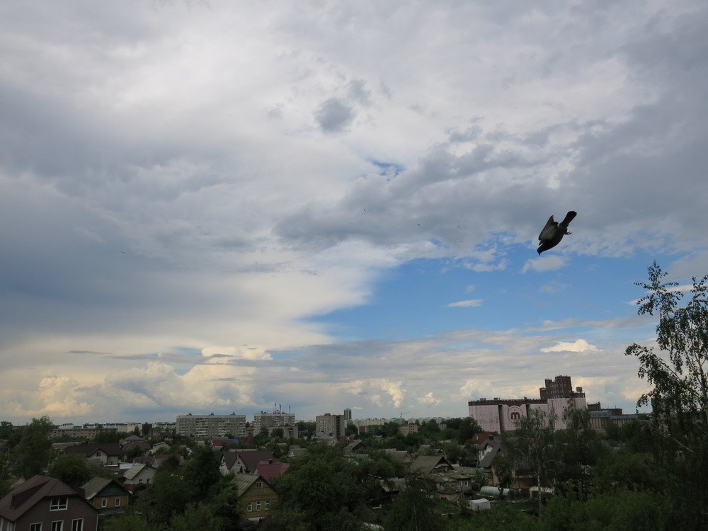 Photograph by ЭЛЬМИРА  ИСМАИЛОВА