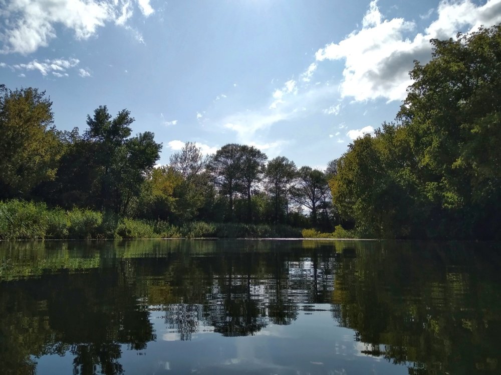 Photograph by Людмила М