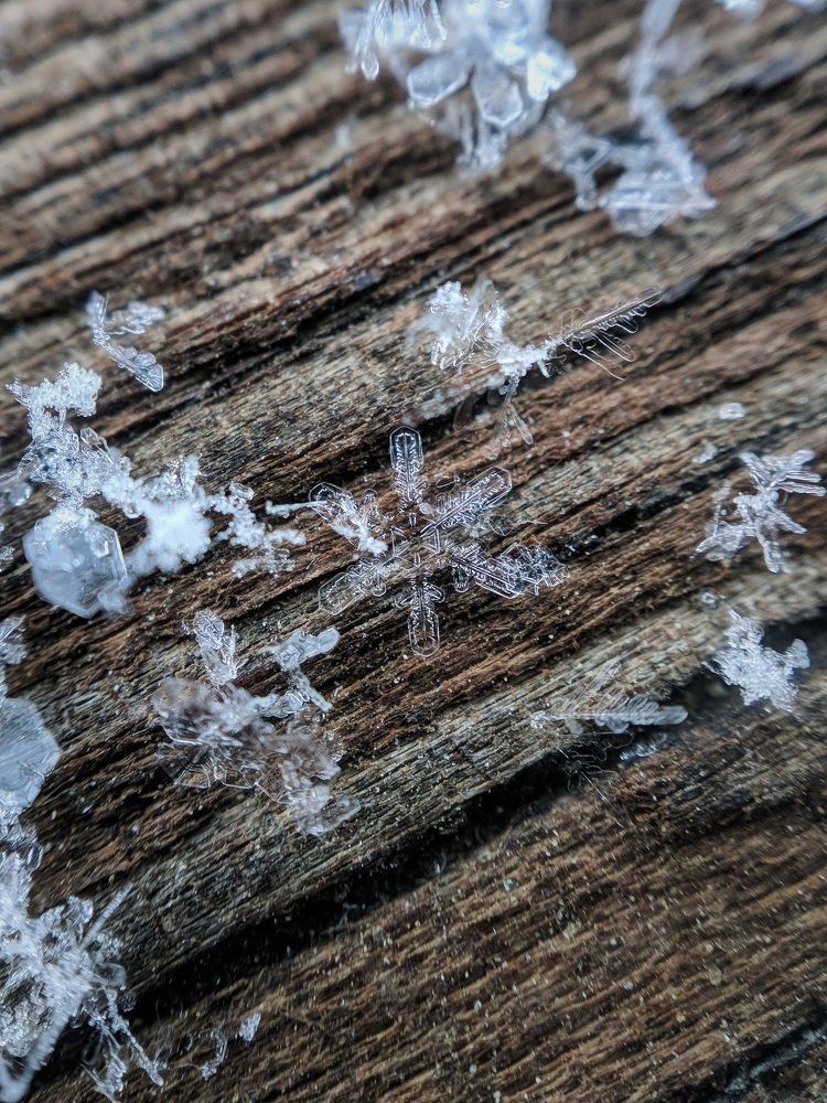 Photograph by Алексей и Юлия Дарьины