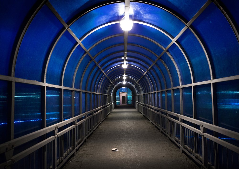 Photograph by Александр Иванов