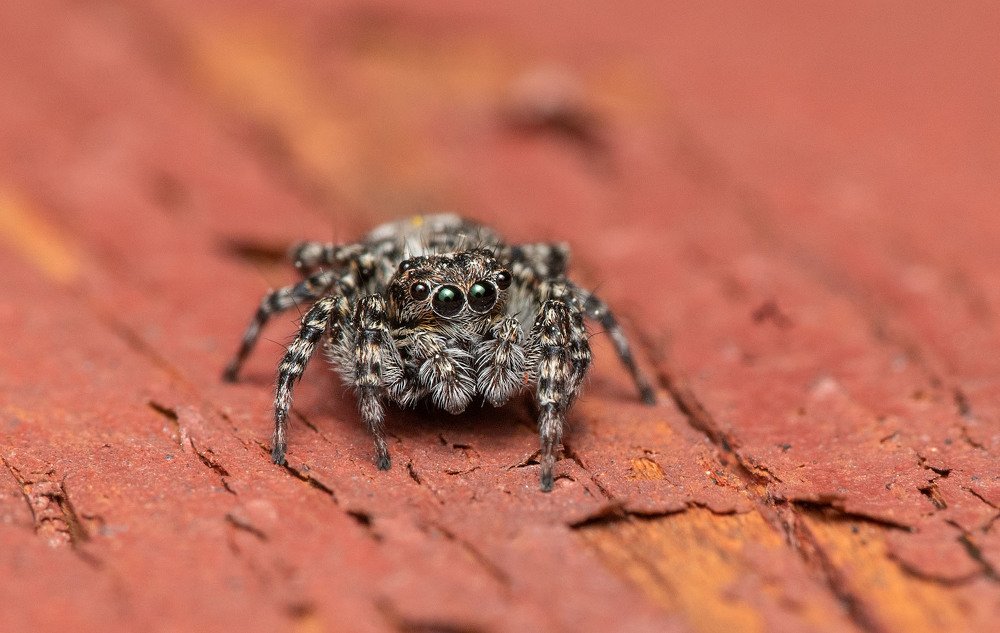 Photograph by Сергей Харитон