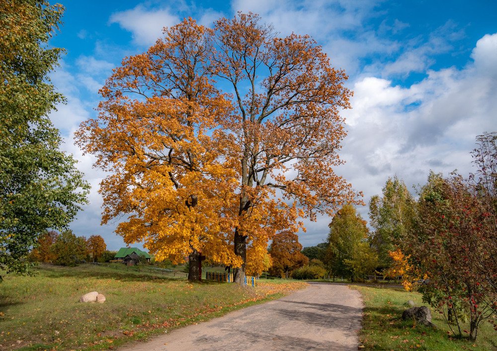 Photograph by Сергей Харитон