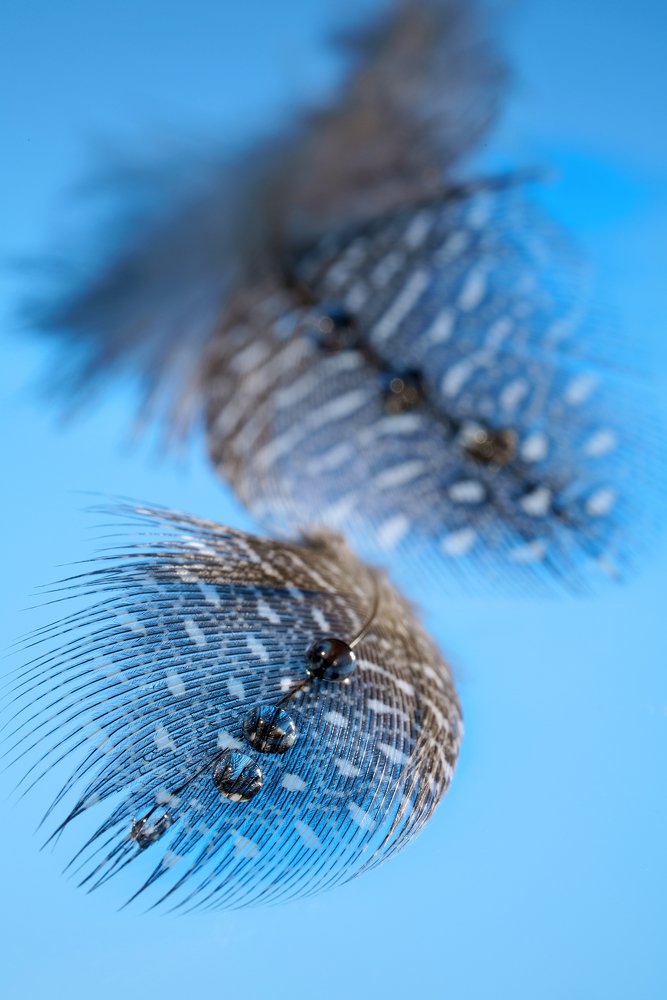 Фотография автора ЯR Ольга