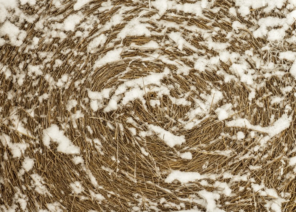 Photograph by Игорь Кляхин