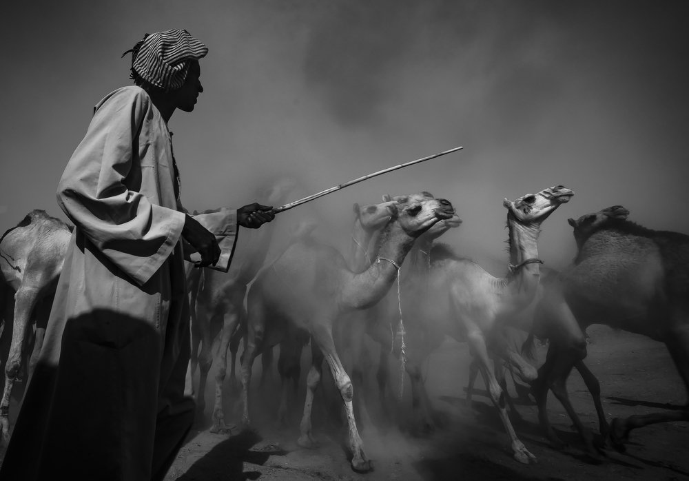 Photograph by Mohammad Kotb