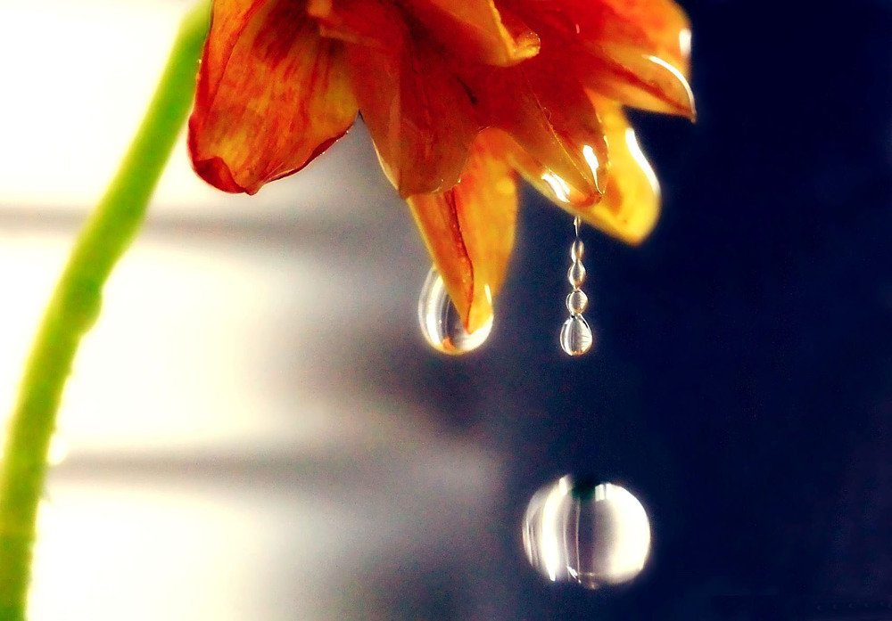 Photograph by Светлана Ковалёнок