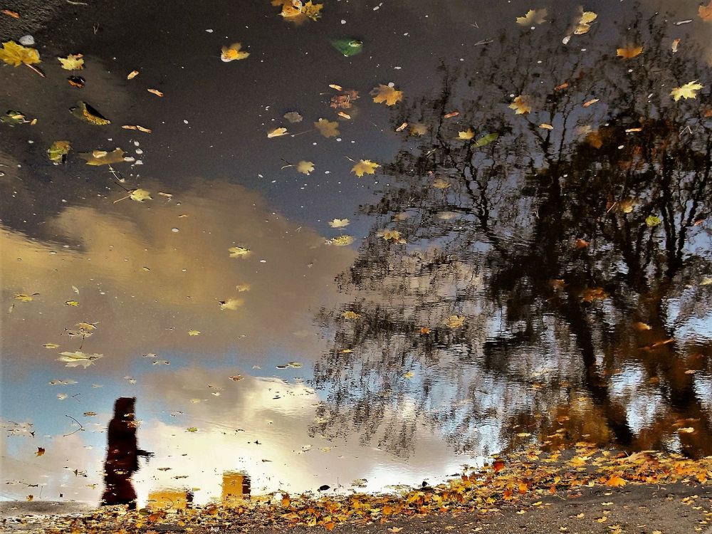 Photograph by Светлана Ковалёнок