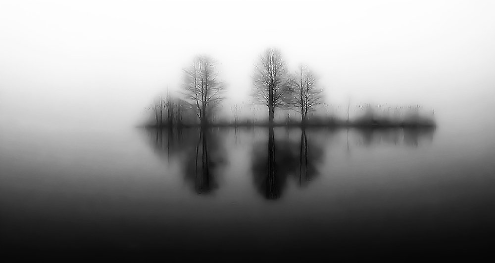 Photograph by Светлана Ковалёнок