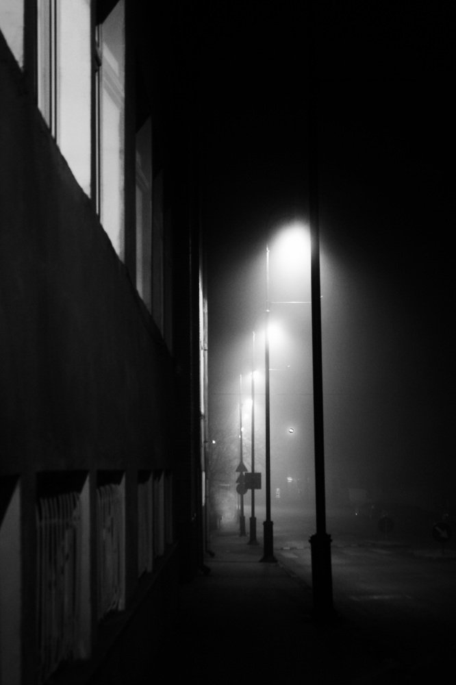 Photograph by Toth Csongor