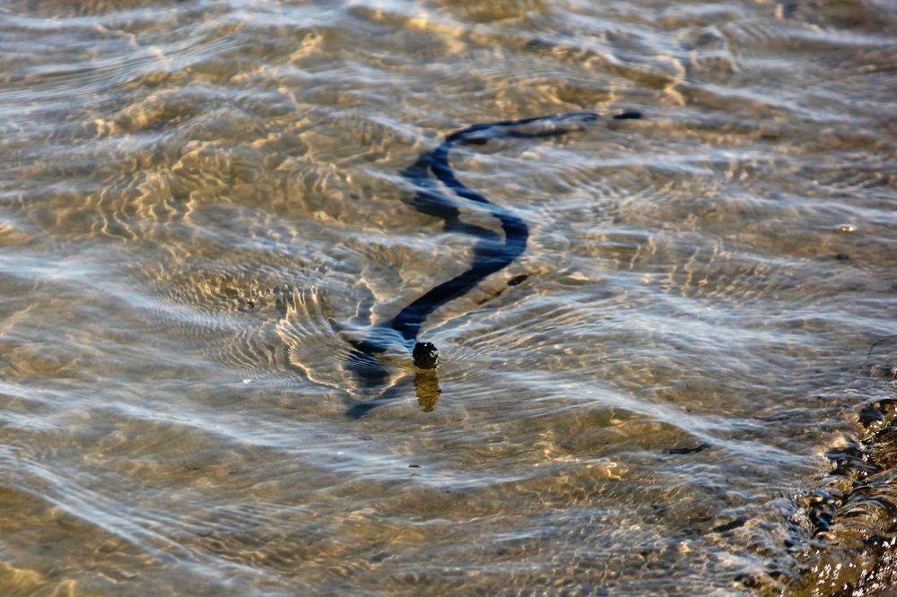 Photograph by Александр Бугаенко