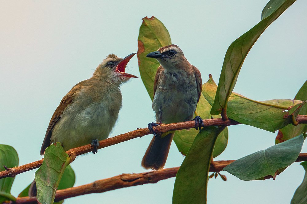 Photograph by Александр Романов