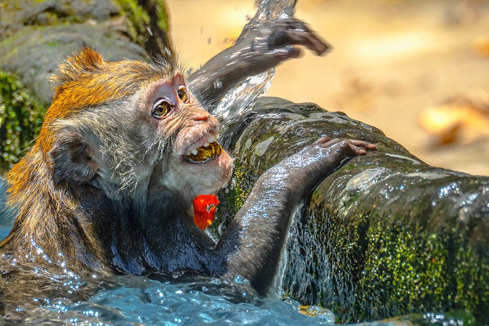 Photograph by Александр Романов