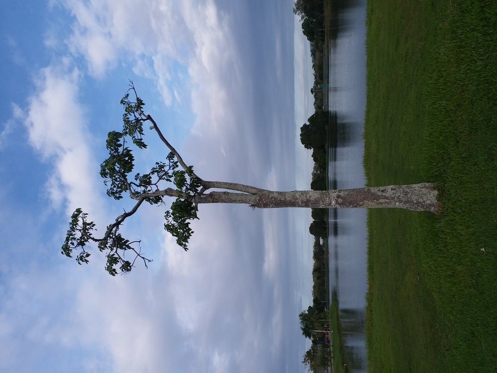 Photo #3924369