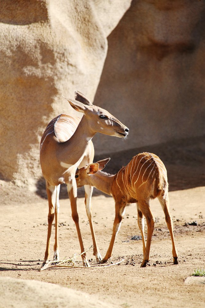 Photograph by Lana Anferow