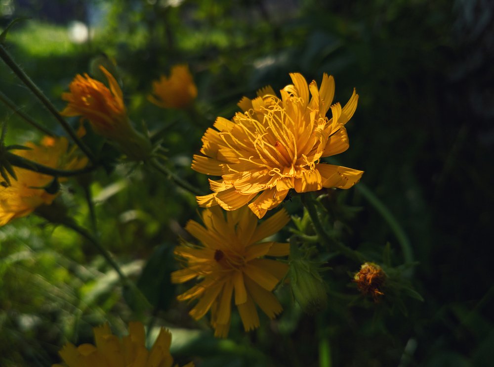 Photograph by Вячеслав Генрих