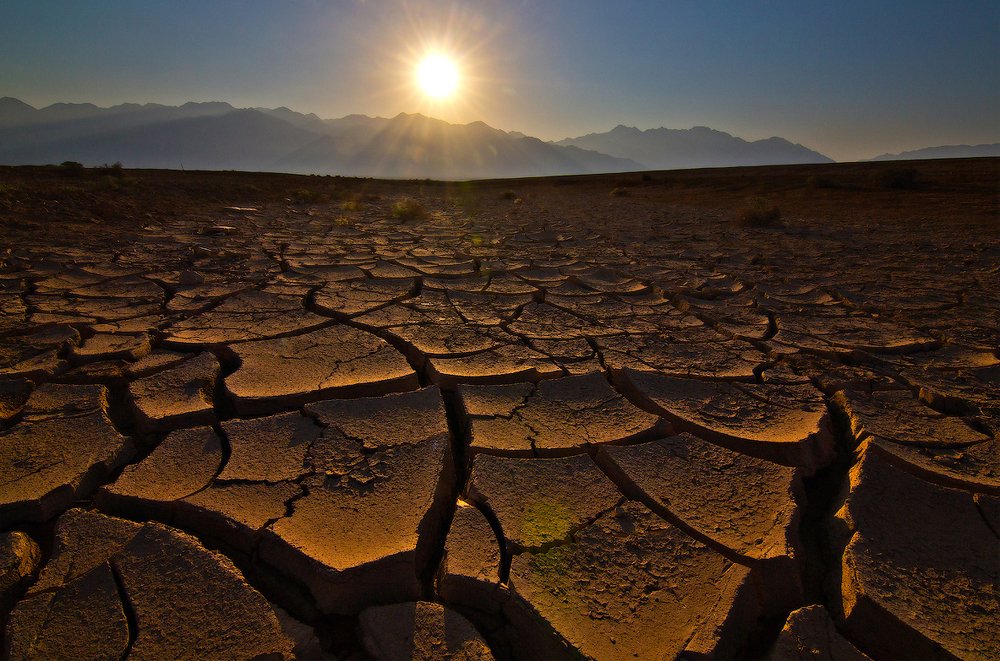 Фотография автора Boris Bekelman