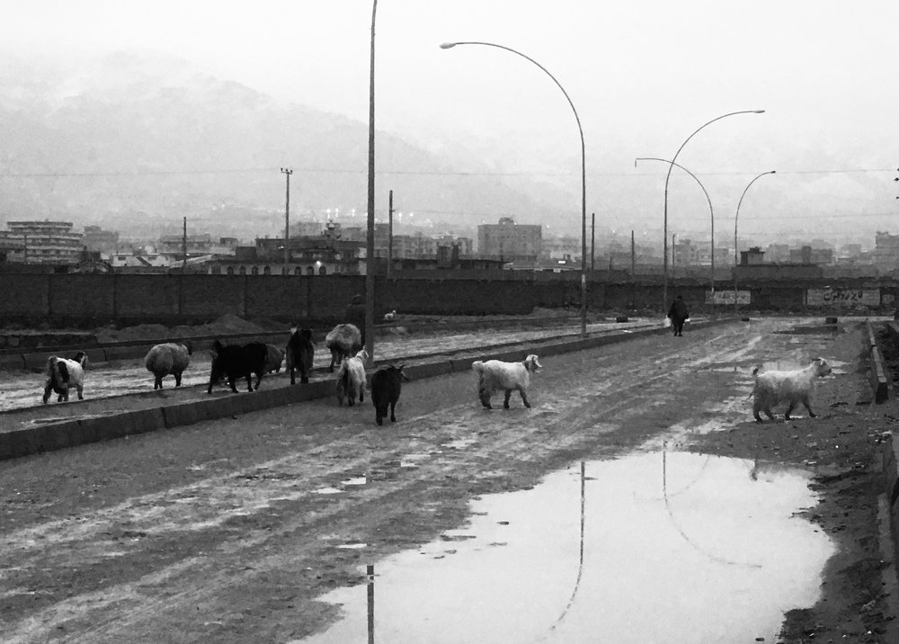 Фотография автора Abdul Naser Sahebzada
