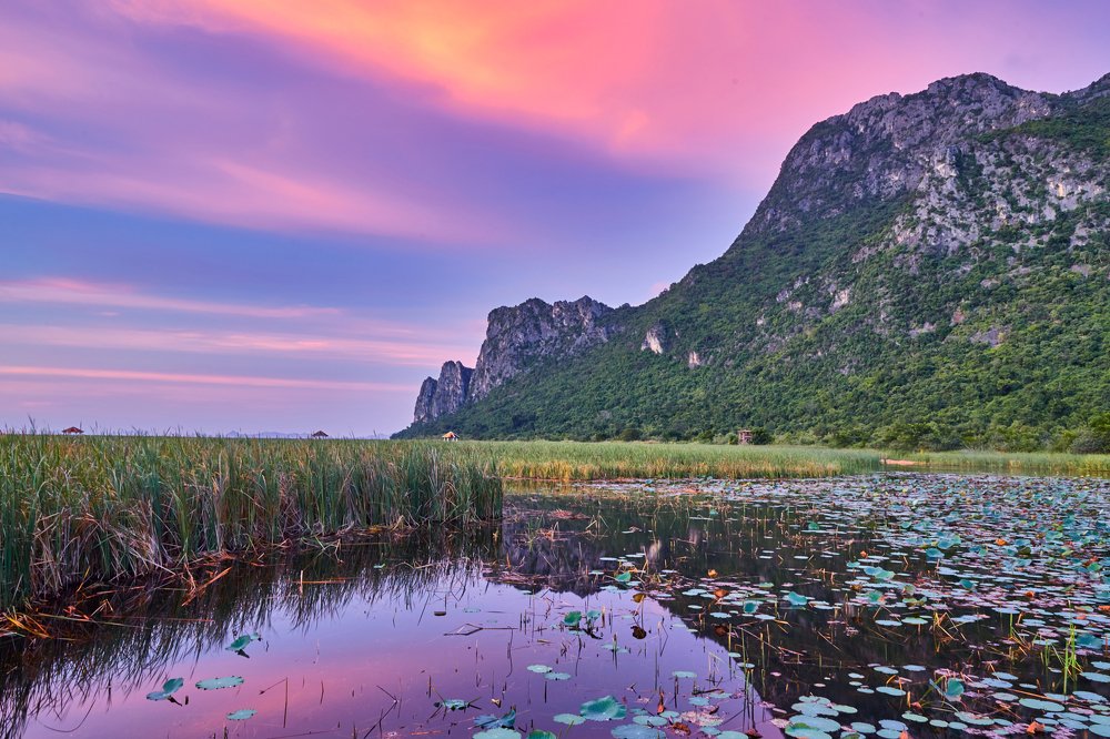 Photograph by Ronaldo Edson Reyes