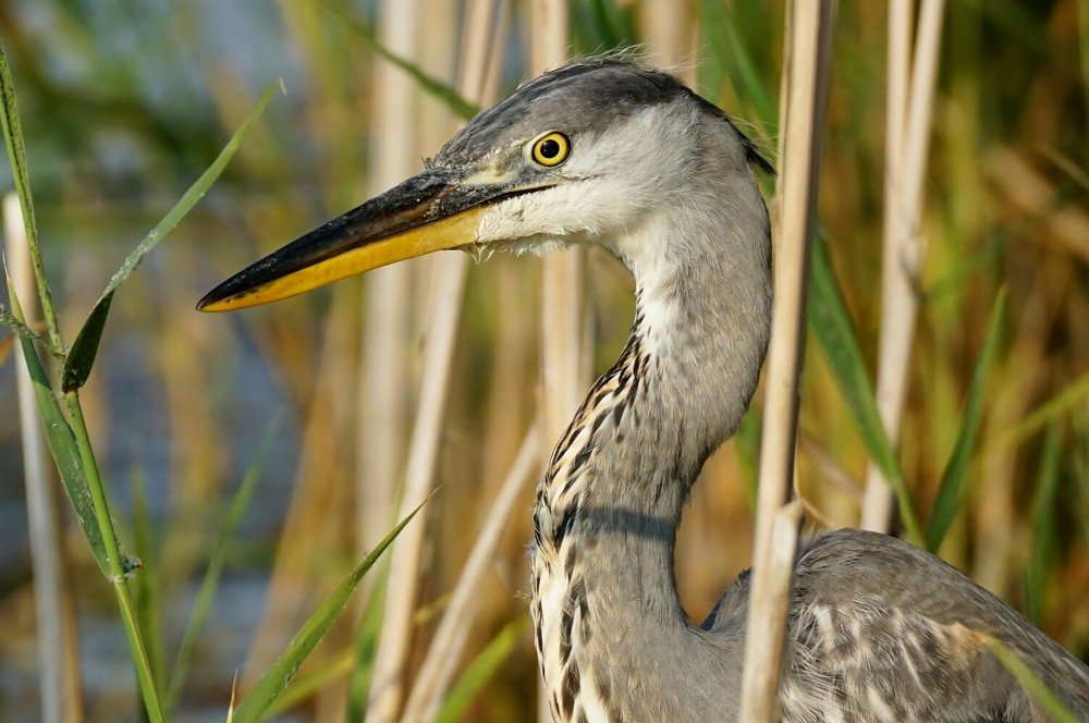 Photograph by Александр Попов