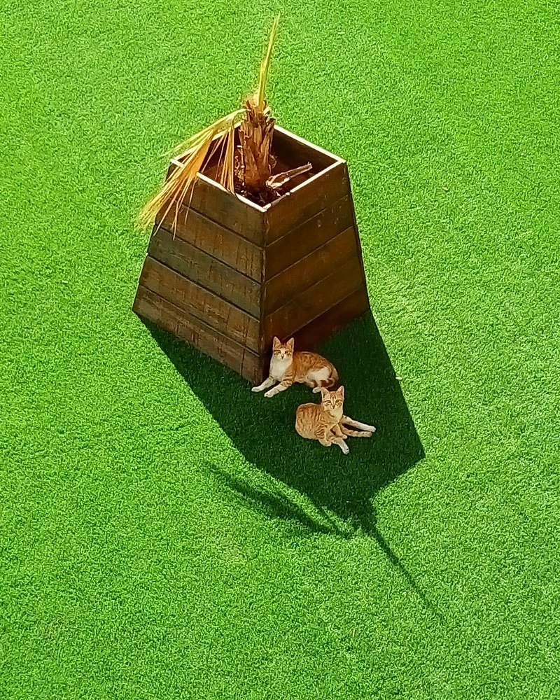 Photograph by Александр Дроздов