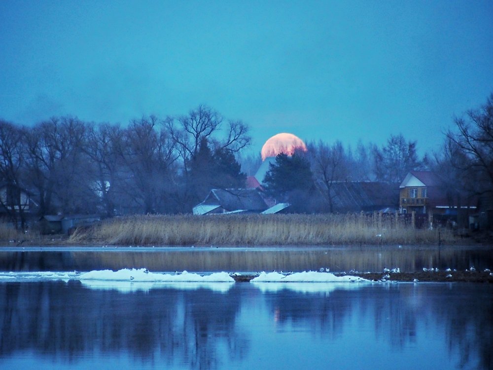 Весна. Полнолуние.