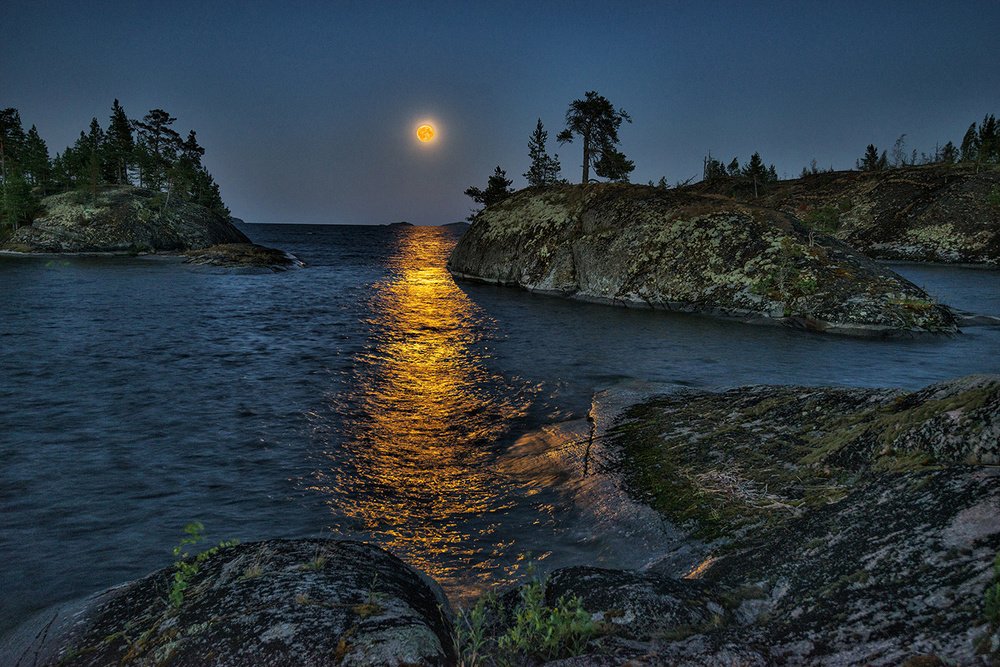 Photograph by АНАТОЛИЙ ДОВЫДЕНКО