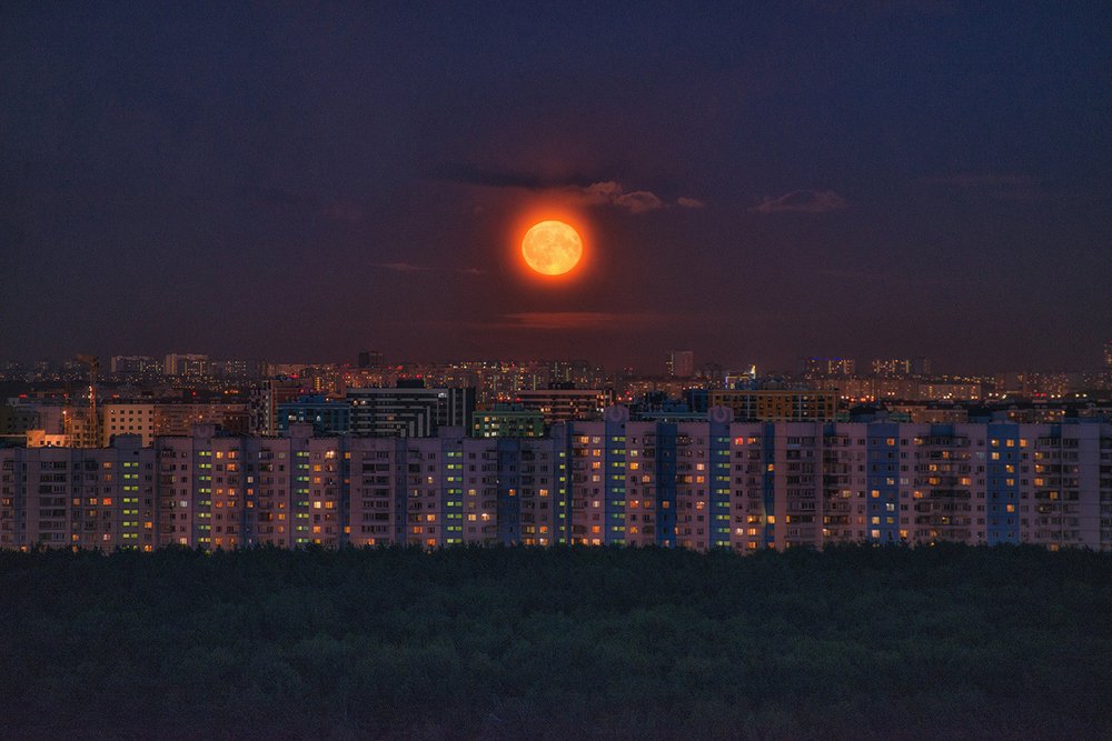 Photograph by АНАТОЛИЙ ДОВЫДЕНКО