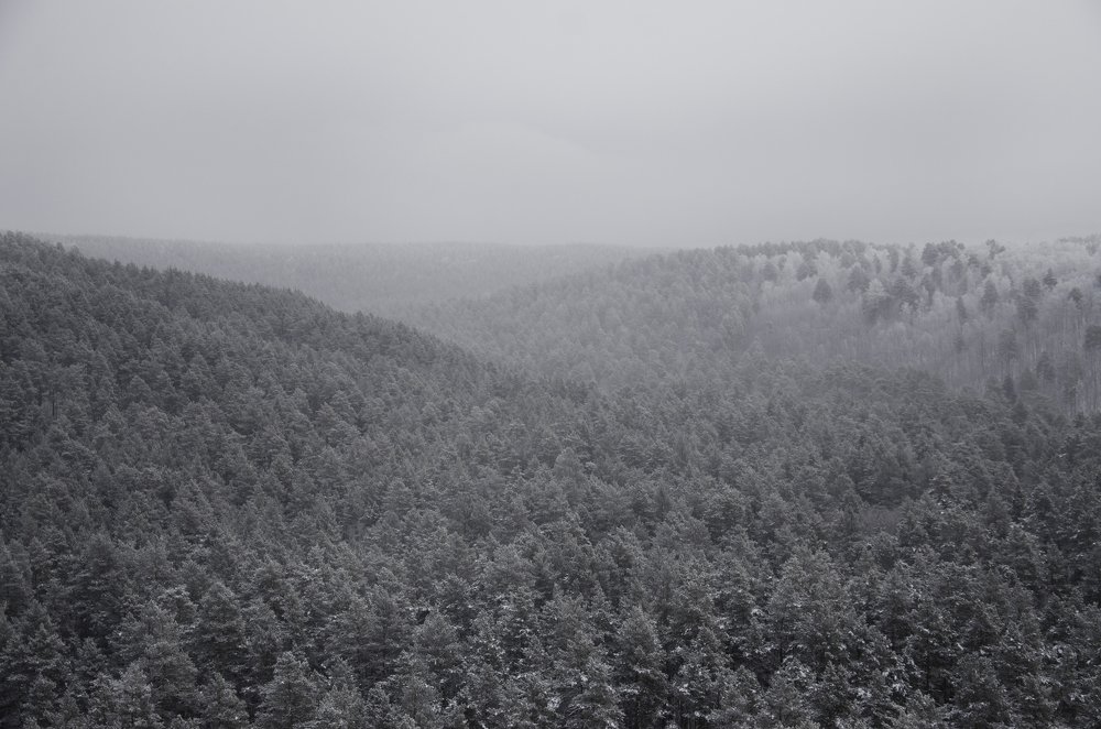 Photograph by Никита Никитин