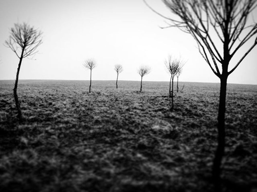 Photograph by Александр Знак-Мазуркевич