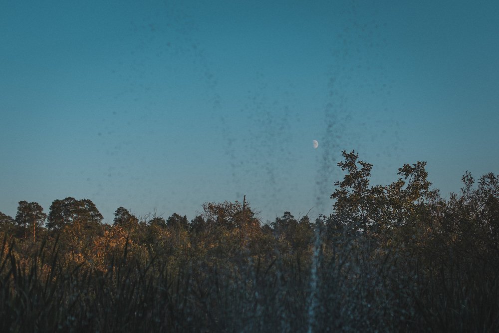 Photograph by Зухра Галиуллина