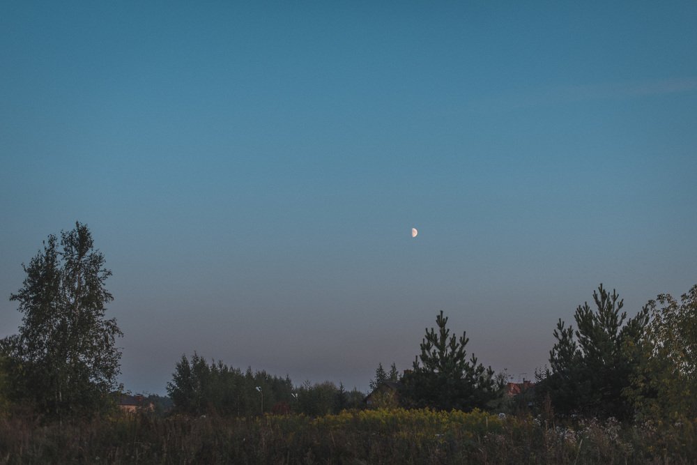 Photograph by Зухра Галиуллина