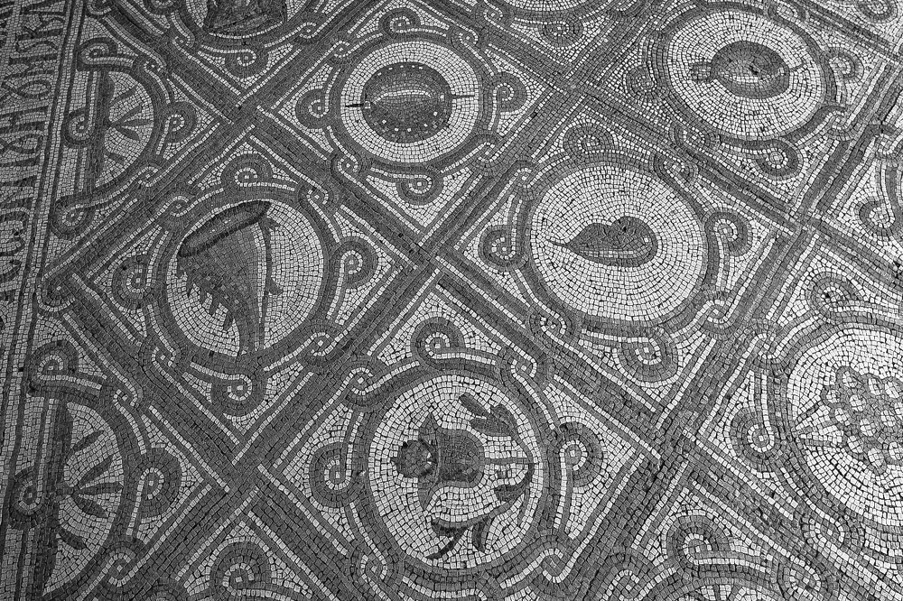 Photograph by Nikolay Hovich