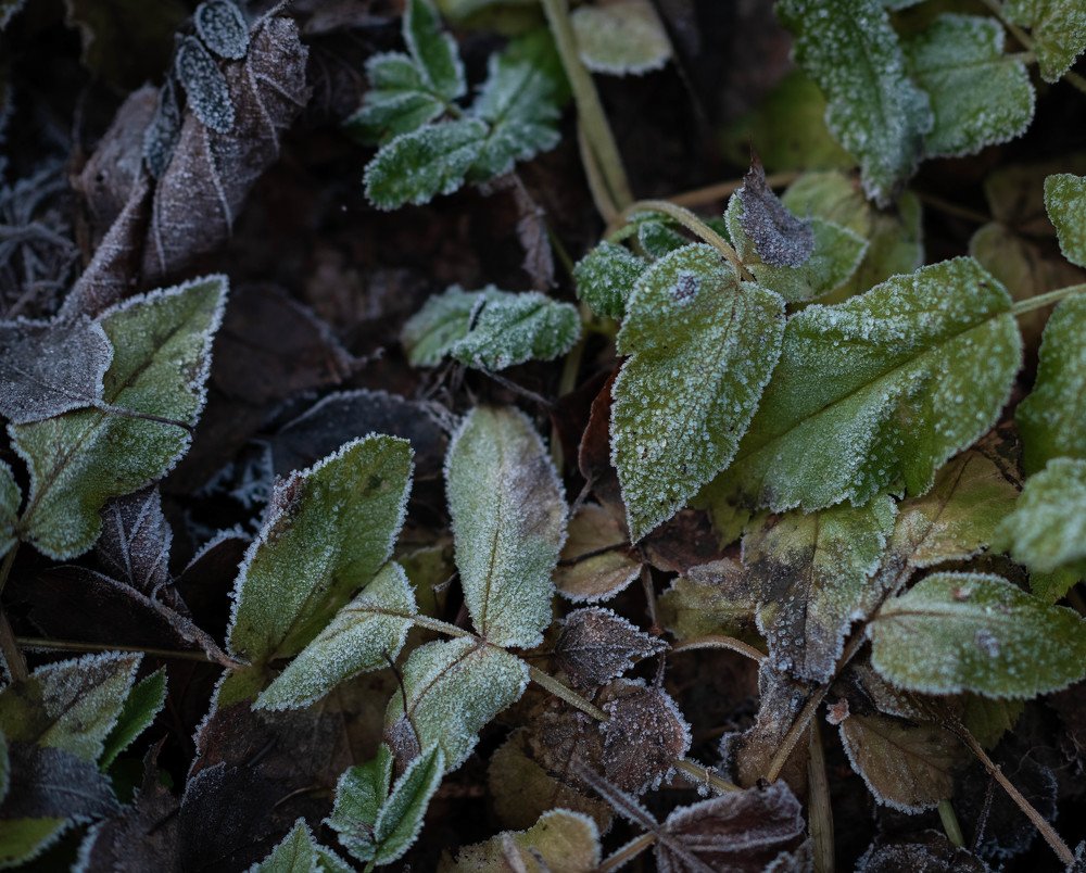 Photograph by Женя Джонстон