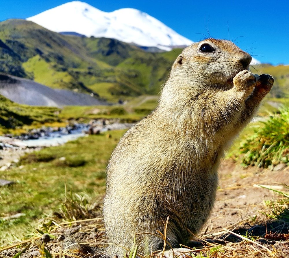 Photograph by Елена Горячева